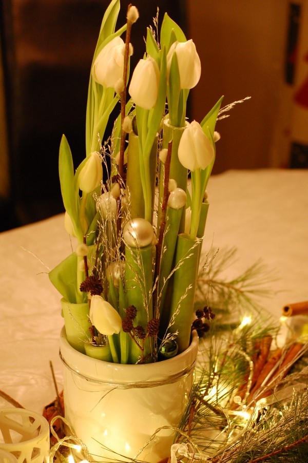 Annorlunda nyårstulpaner nerstuckna i amaryllisstjälkar (2)