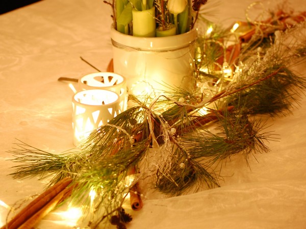 Annorlunda nyårstulpaner nerstuckna i amaryllisstjälkar (3)