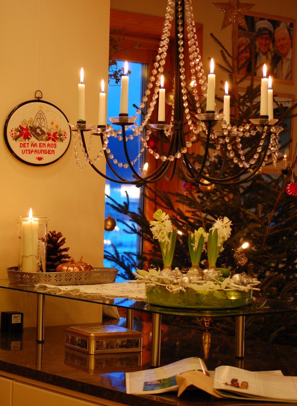 Nyår frön till nytt liv (2)